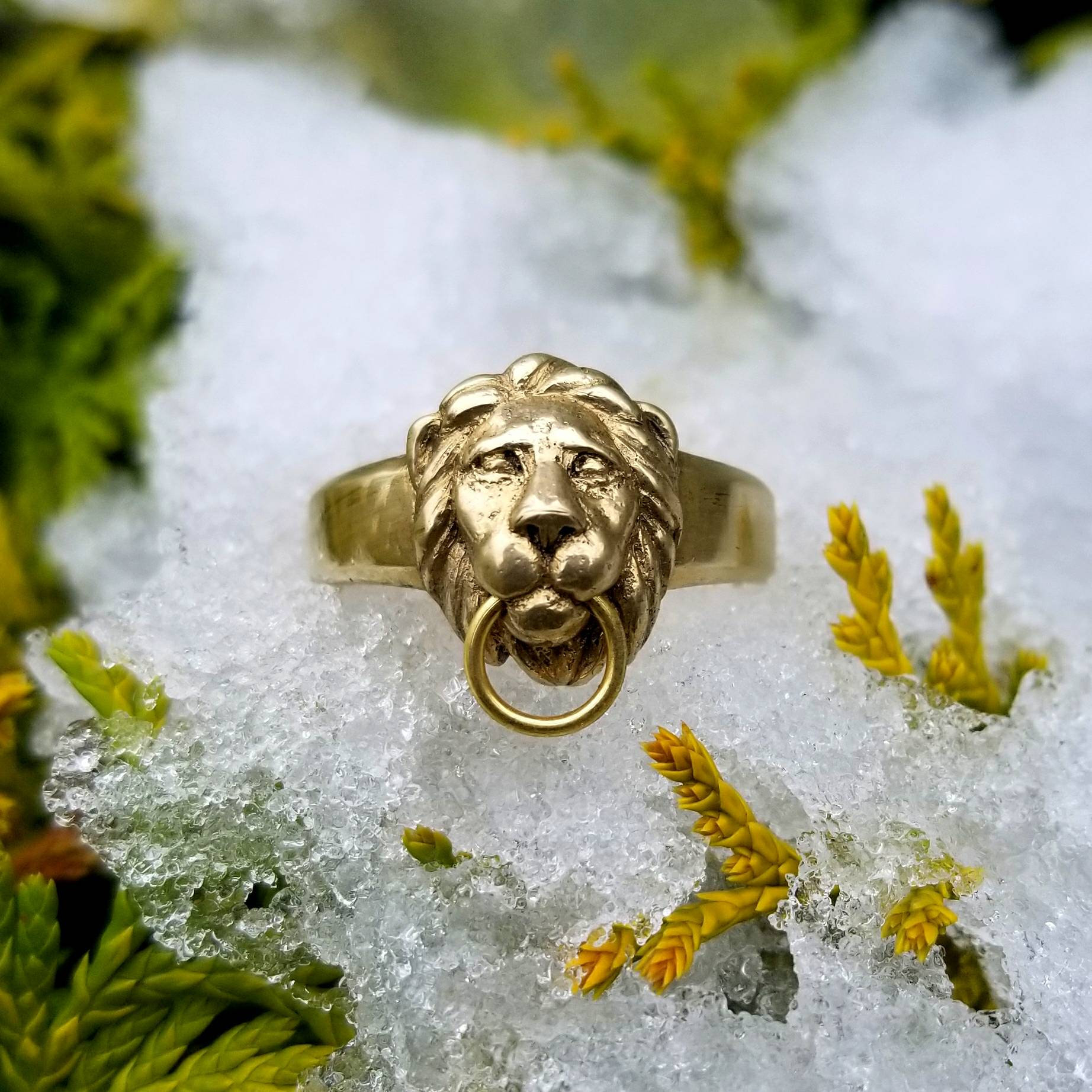 Lion Head knocker ring